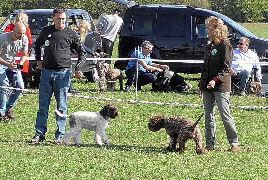 Clubschau am Stausee