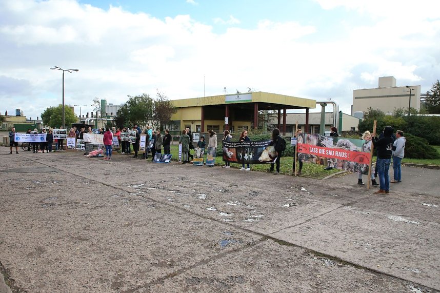 Protestaktion bei Van Asten