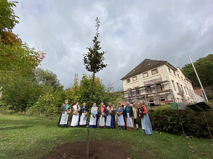Baum des Jahres in Neustadt gepflanzt