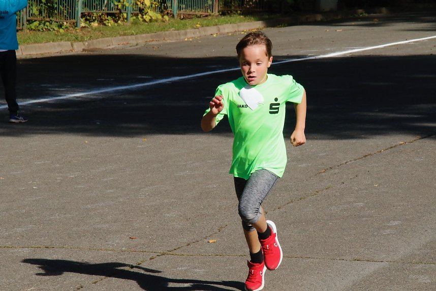 Herbstcrosslauf im Gehege