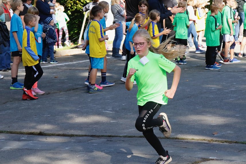 Herbstcrosslauf im Gehege