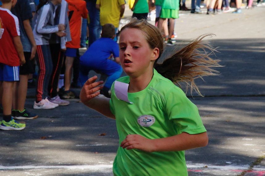 Herbstcrosslauf im Gehege