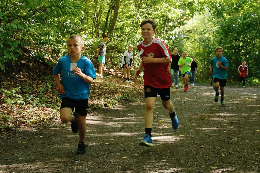 Herbstcrosslauf im Gehege