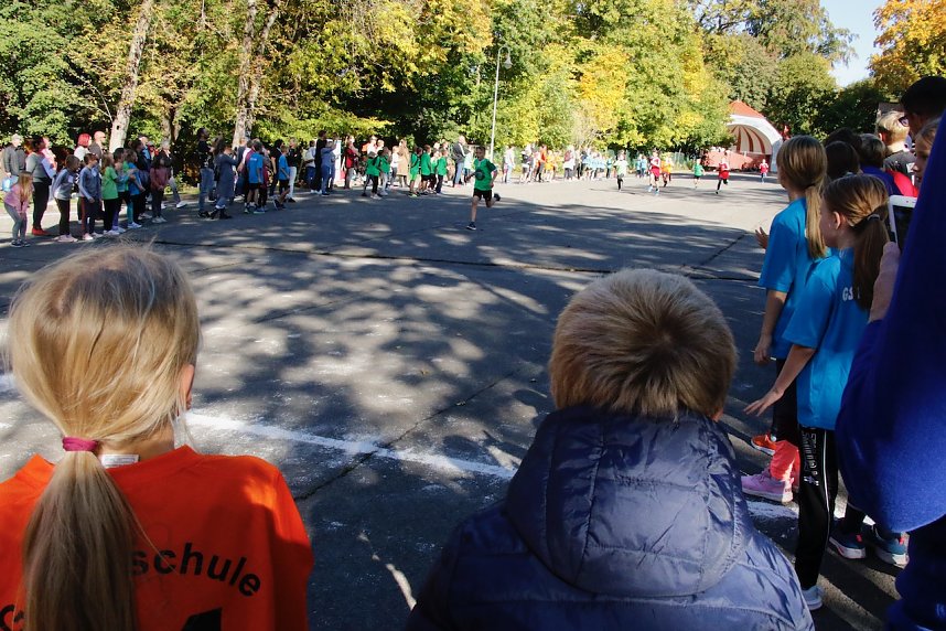 Herbstcrosslauf im Gehege