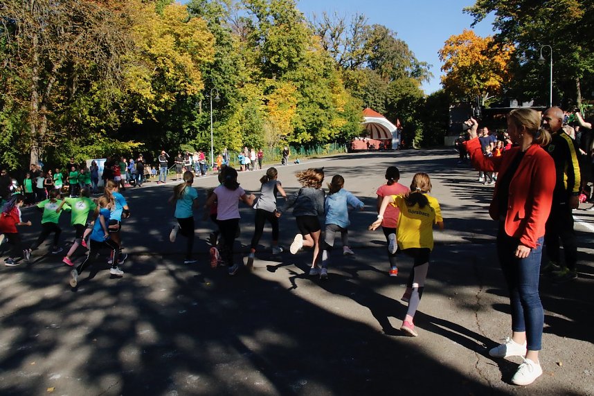 Herbstcrosslauf im Gehege