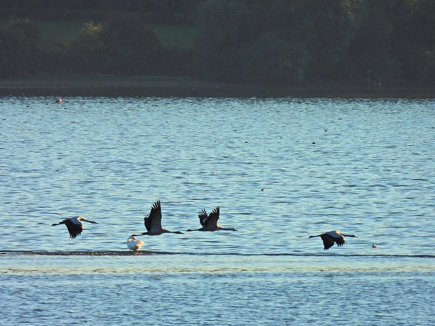 Traumwetter am Stausee