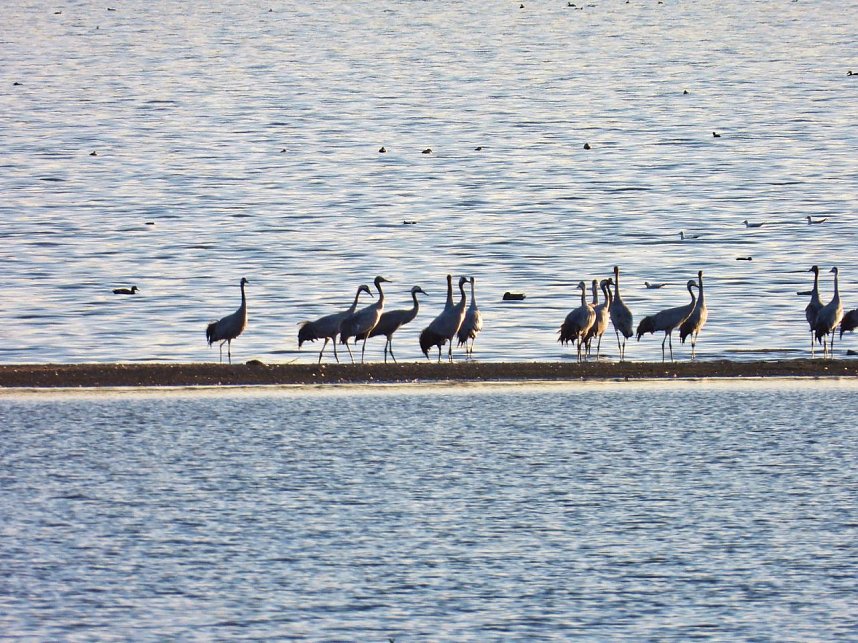 Traumwetter am Stausee