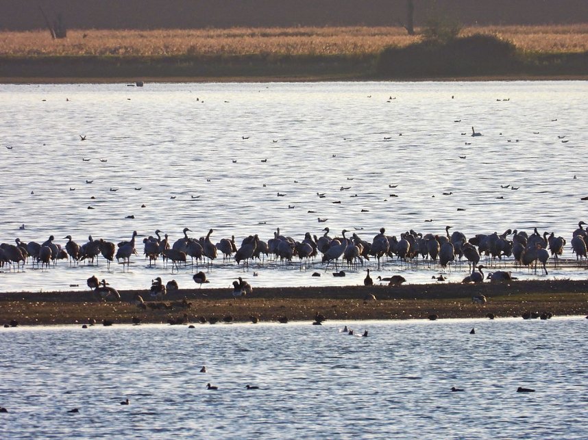 Traumwetter am Stausee