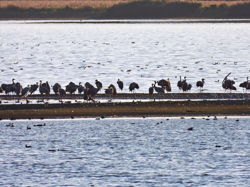 Traumwetter am Stausee