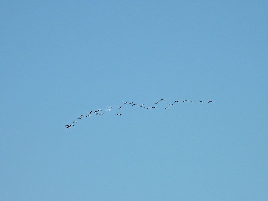 Traumwetter am Stausee