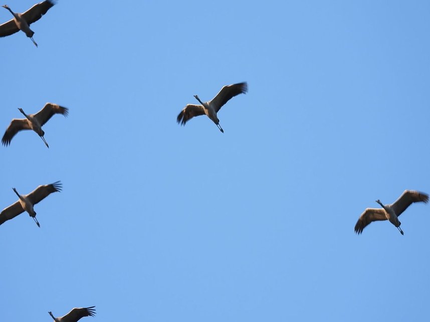 Traumwetter am Stausee