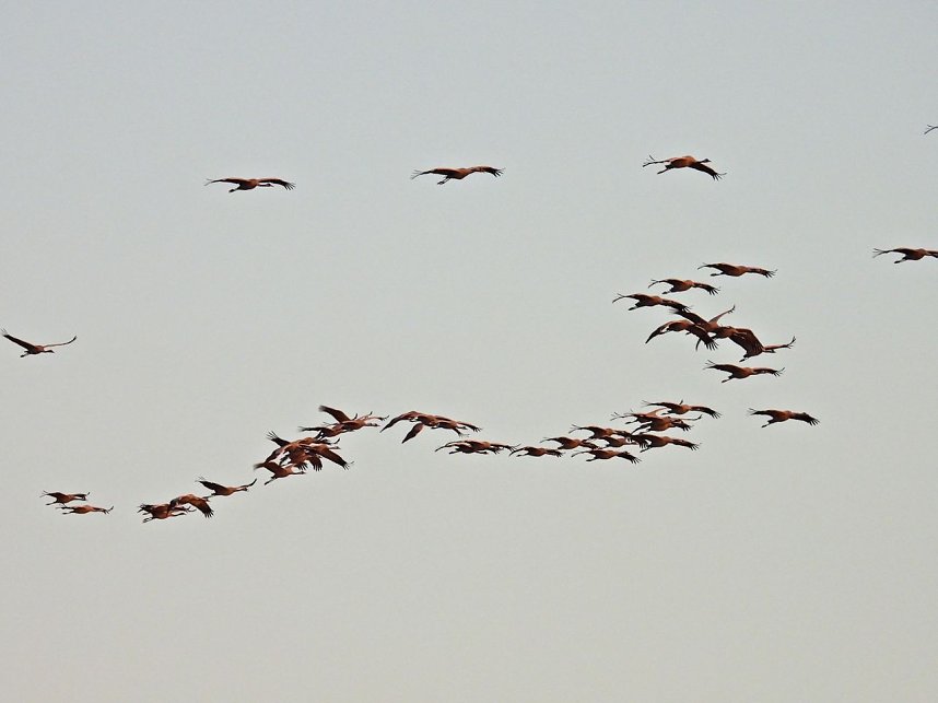 Traumwetter am Stausee