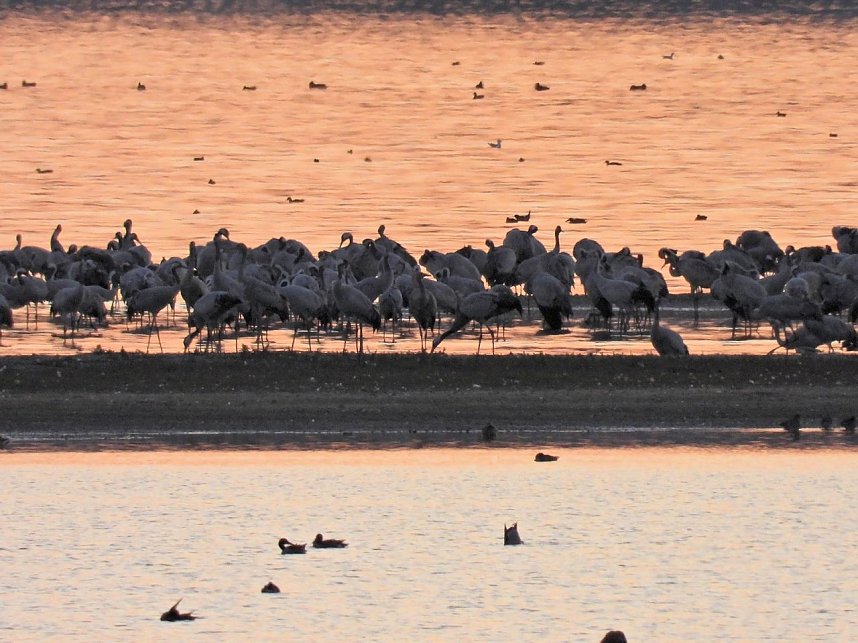 Traumwetter am Stausee