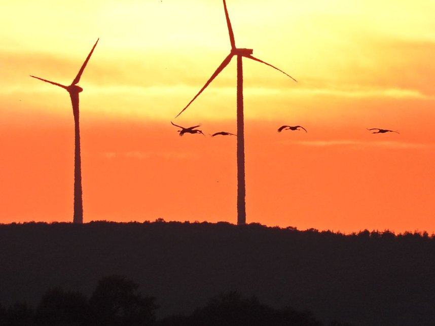 Traumwetter am Stausee