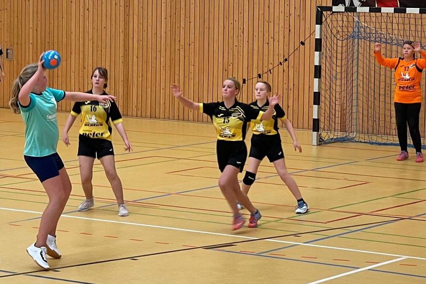 Die NSV Handballer legten einen guten Saisoneinstand hin