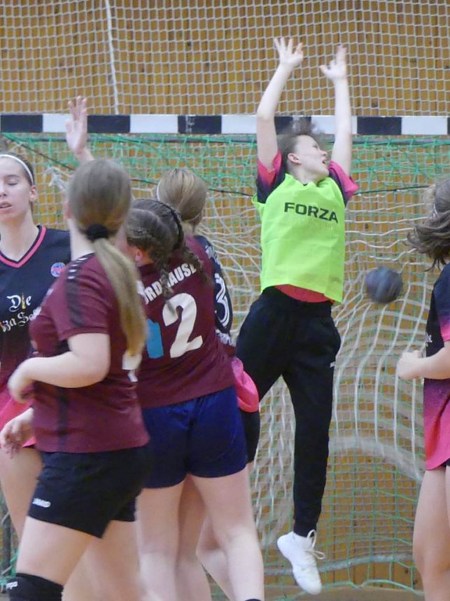 Die NSV Handballer legten einen guten Saisoneinstand hin