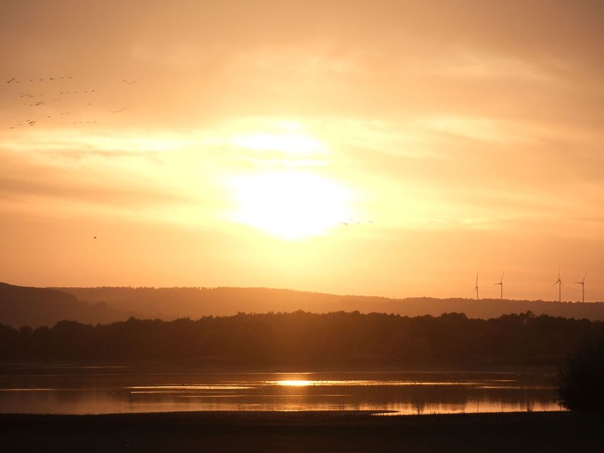 Peter Blei unter Kranichen