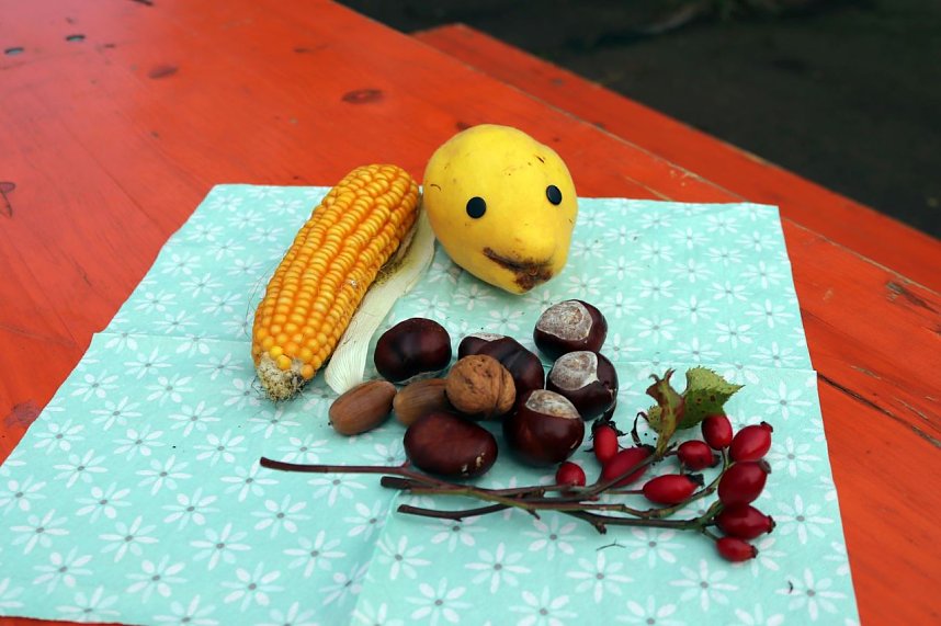 Natura 2000-Stationsfest S&uuml;dharz/Kyffh&auml;user