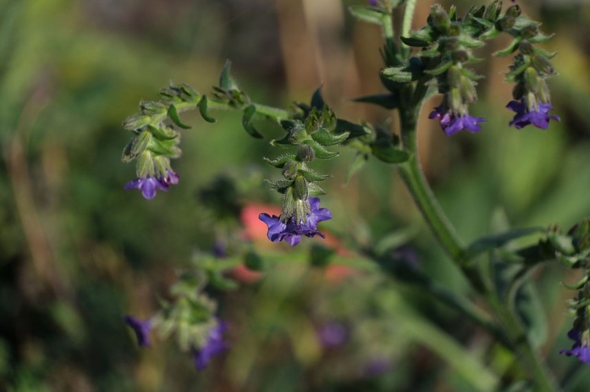 Impressionen vom Nordh&auml;user Petersberg