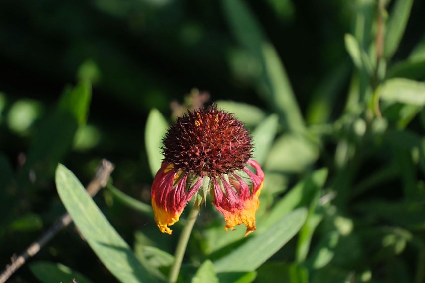 Impressionen vom Nordh&auml;user Petersberg