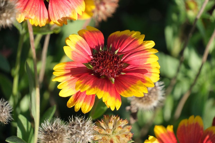 Impressionen vom Nordh&auml;user Petersberg