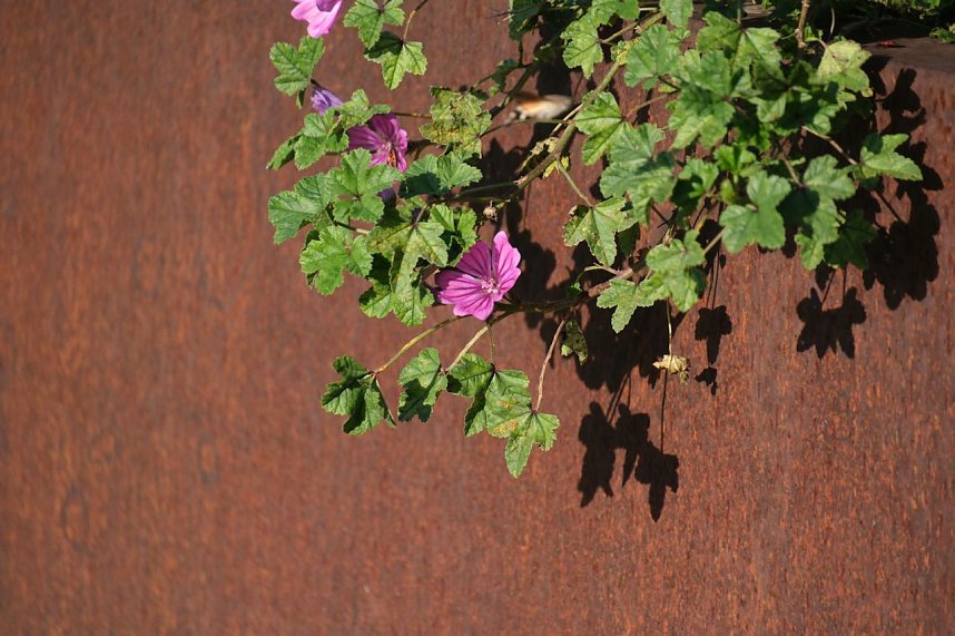 Impressionen vom Nordh&auml;user Petersberg