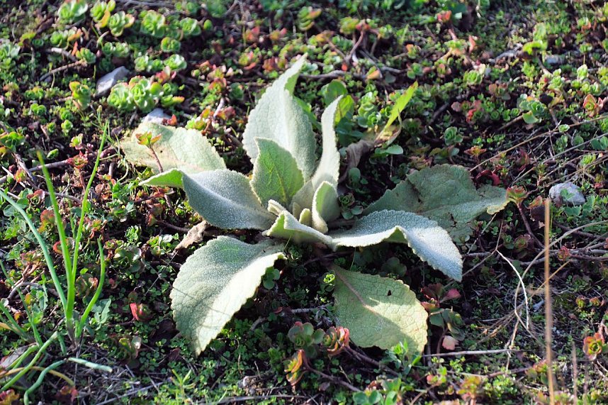 Impressionen vom Nordh&auml;user Petersberg