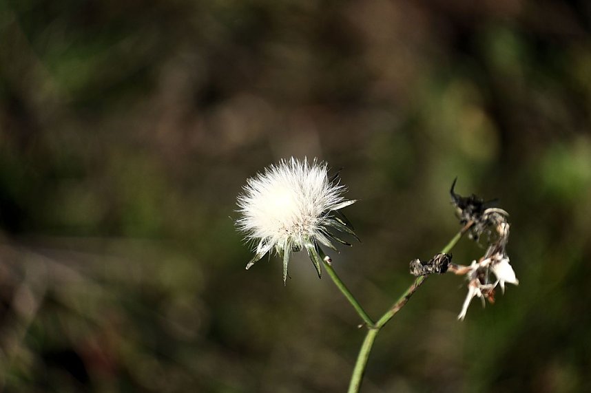 Impressionen vom Nordh&auml;user Petersberg