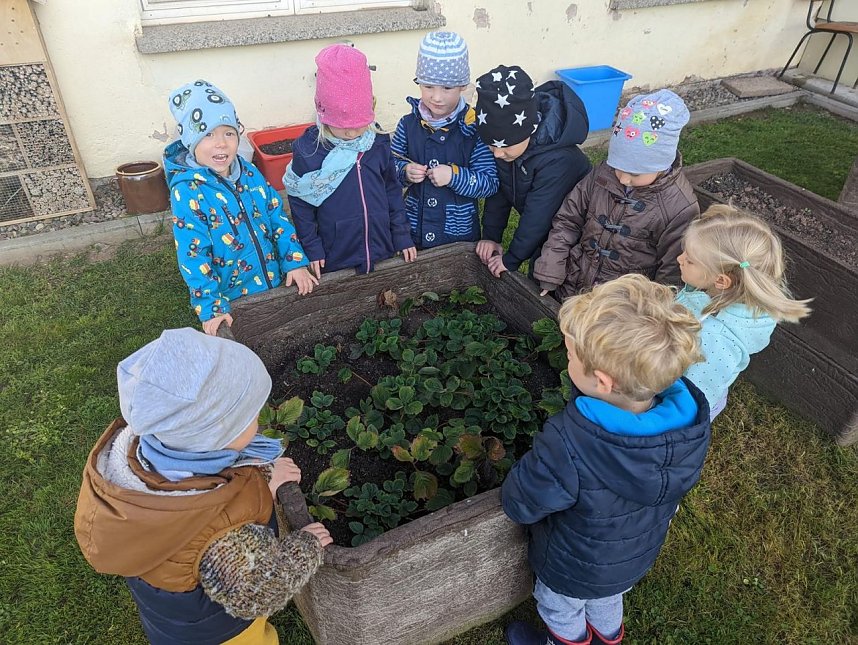 Herbstwoche bei den Bodestrolchen