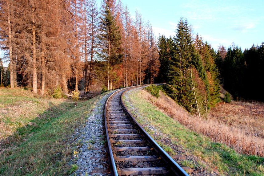 Peter Blei unterwegs im Harz