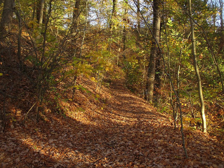 Im Wilden H&ouml;lzchen