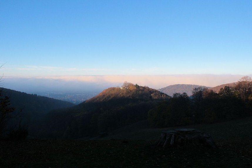 Peter Blei auf dem Armeleuteberg