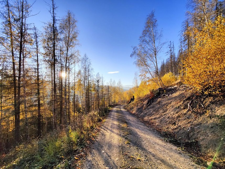Peter Blei auf dem Armeleuteberg