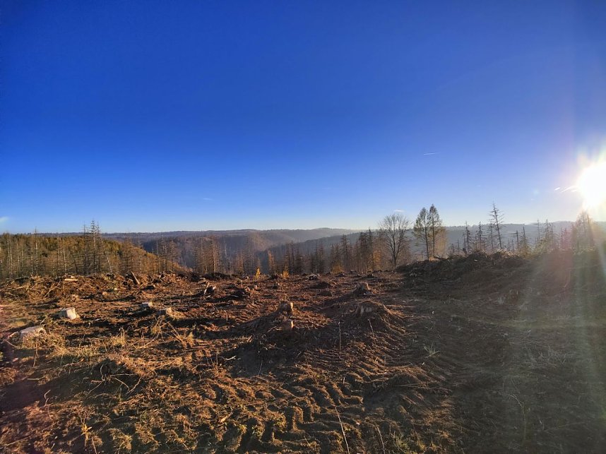 Peter Blei auf dem Armeleuteberg