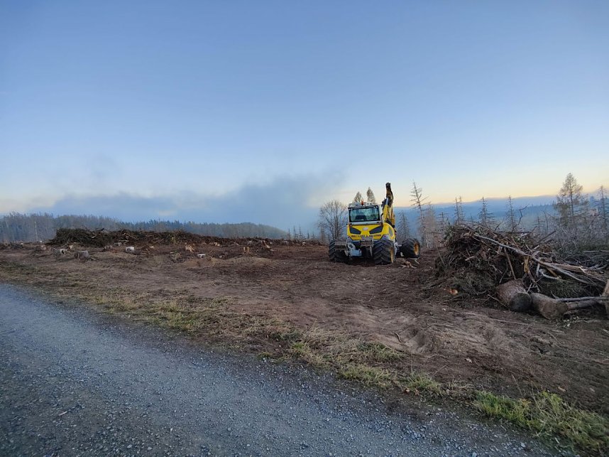 Peter Blei auf dem Armeleuteberg