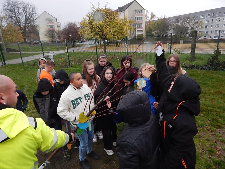 Eine Sommerlinde f&uuml;r die Petersbergschule