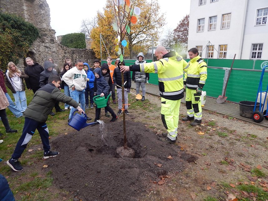Eine Sommerlinde f&uuml;r die Petersbergschule
