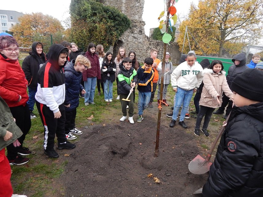 Eine Sommerlinde f&uuml;r die Petersbergschule