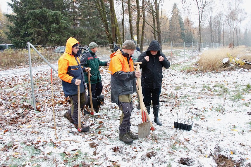Einheitsbuddeln 2022