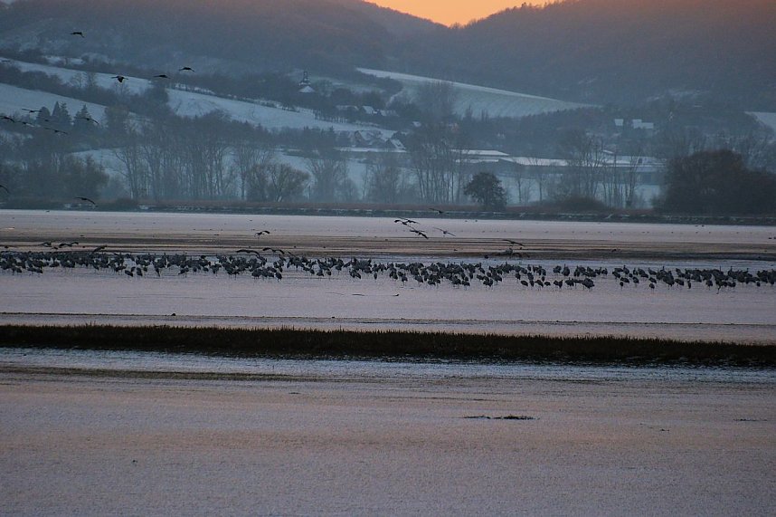 Peter Blei unterwegs im Schnee