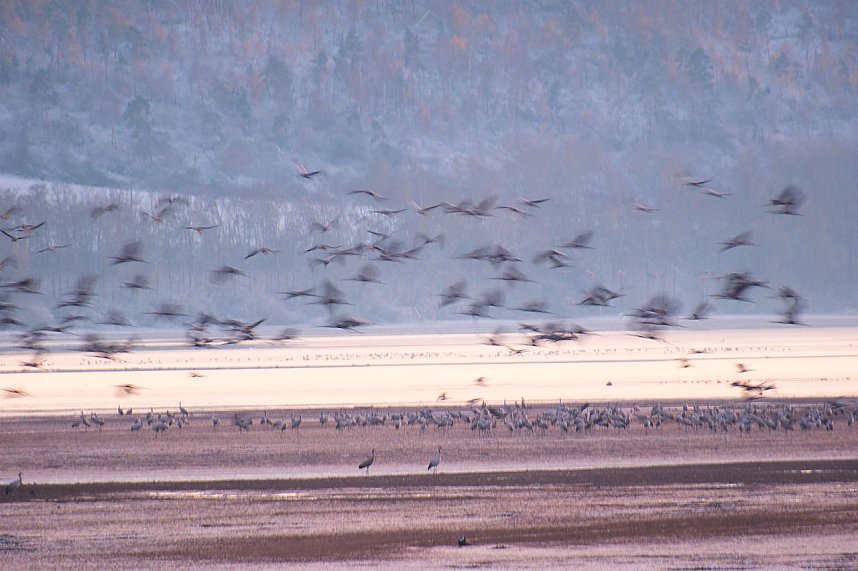 Peter Blei unterwegs im Schnee