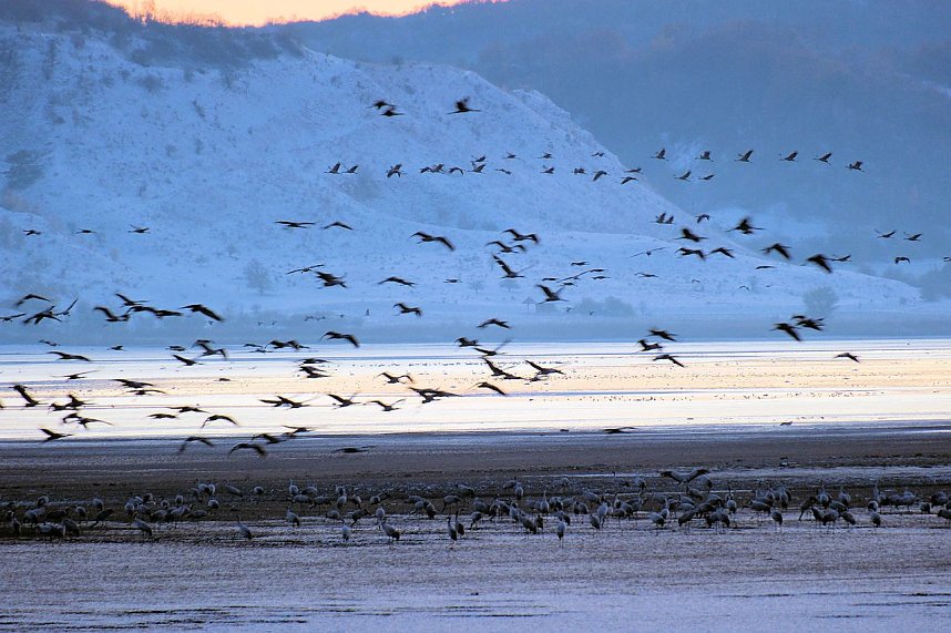 Peter Blei unterwegs im Schnee