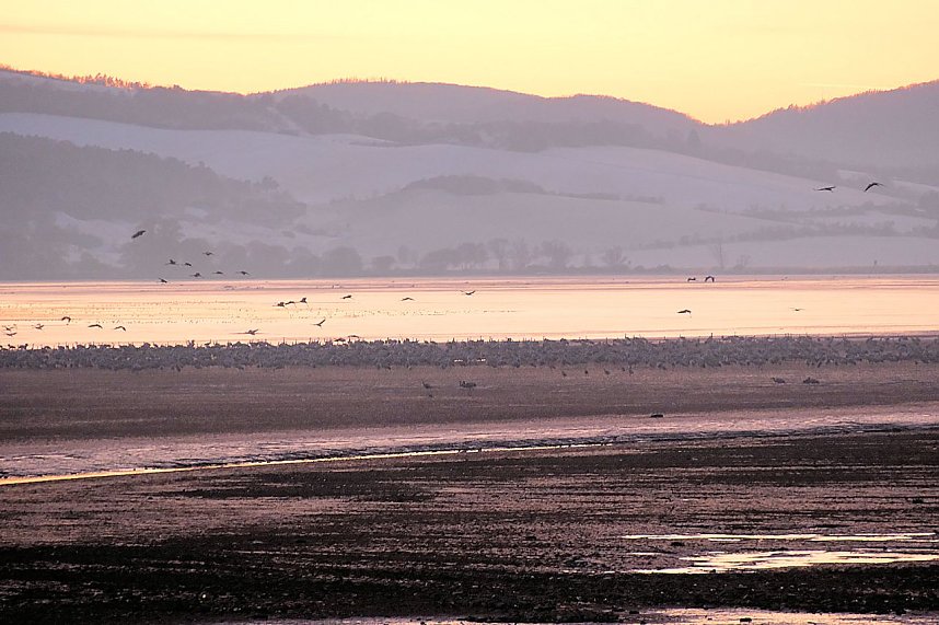 Peter Blei unterwegs im Schnee
