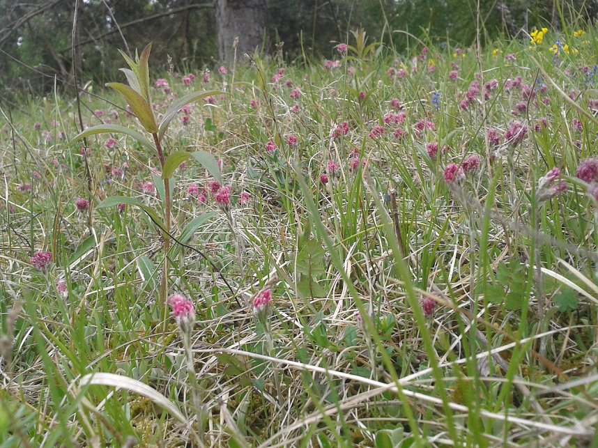 Arbeitseinsatz der BUND-Mitglieder