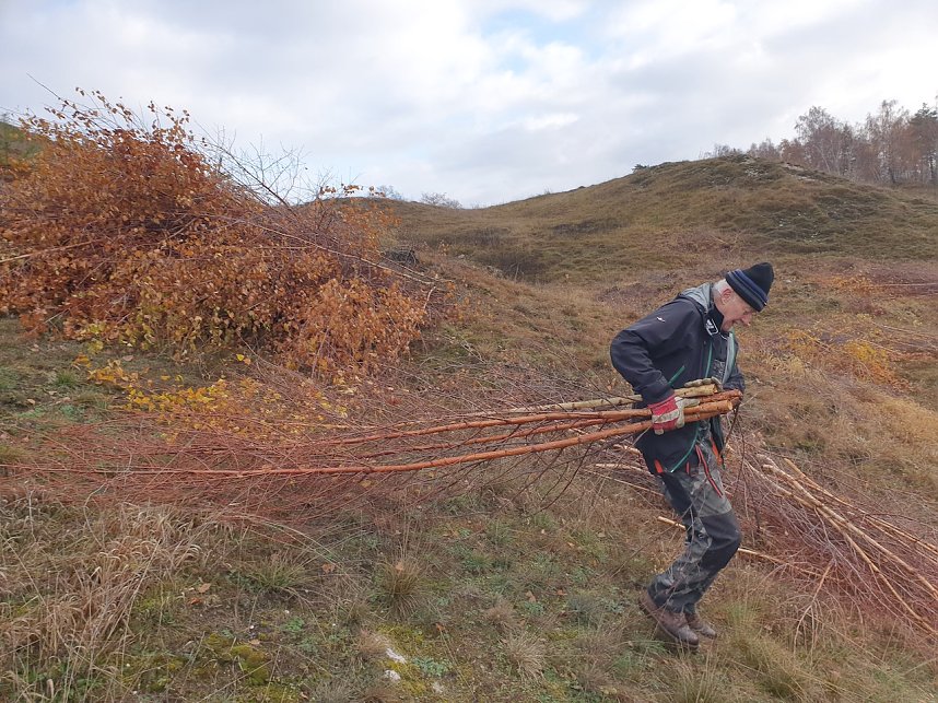 Arbeitseinsatz der BUND-Mitglieder