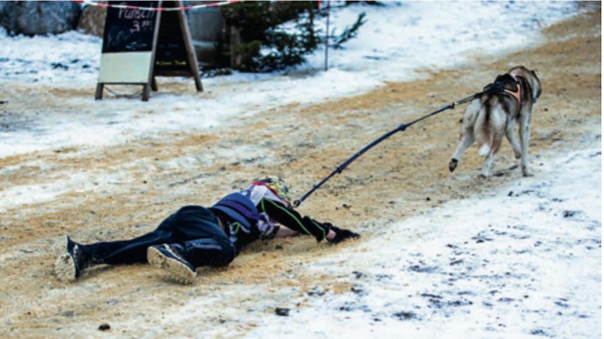 "Bauchlandung" ist der Titel eines weiteren anerkannten Fotos aus der Rubrik "Sport und Freizeit". Es entstand in Pullman City w&auml;hrend eines Schlittenhunderennens