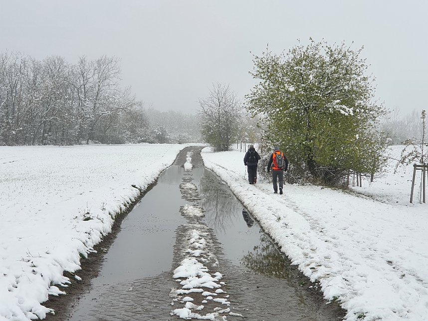 44. S&uuml;dharzer Hunderter