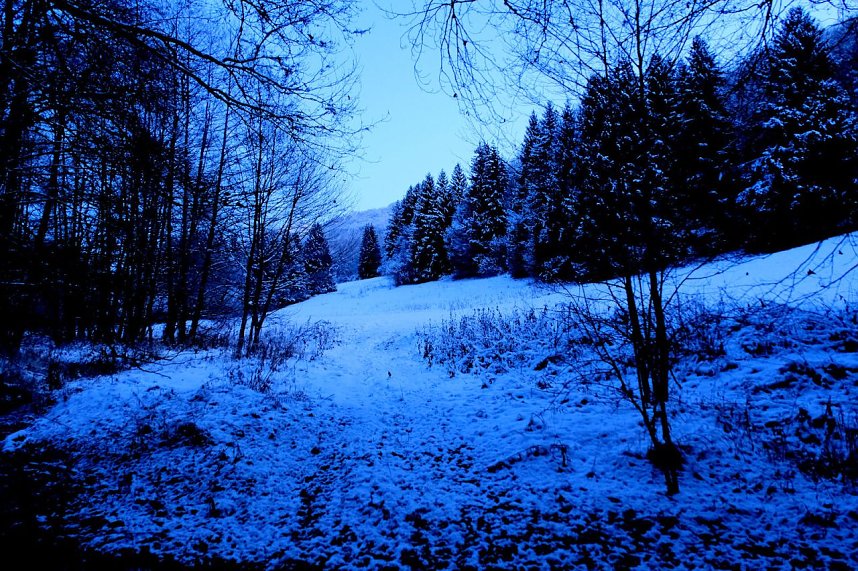 Eisige K&auml;lte im Brandesbachtal