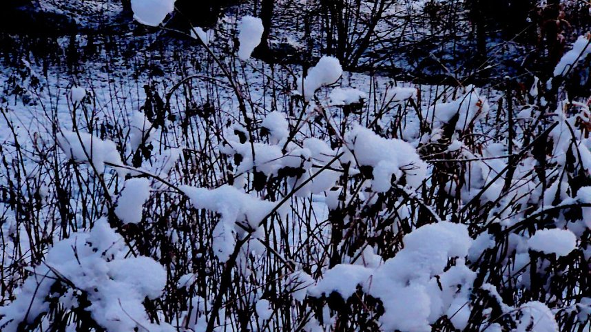 Eisige K&auml;lte im Brandesbachtal