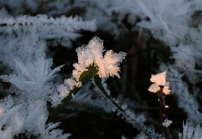 Naturwunder in der Windl&uuml;cke